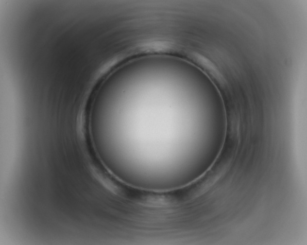 X0000113940439200910021305