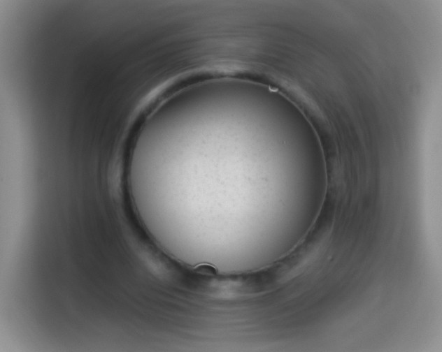 X0000113940440200910021305