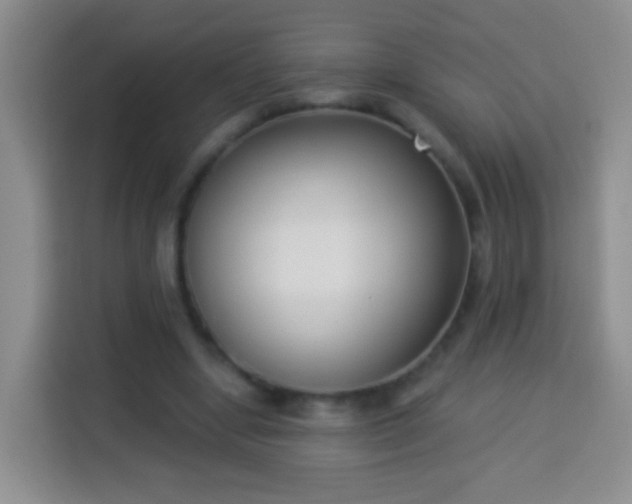 X0000113940442200910021305