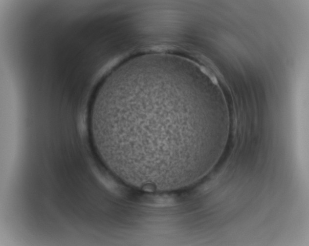 X0000113940443200910021305