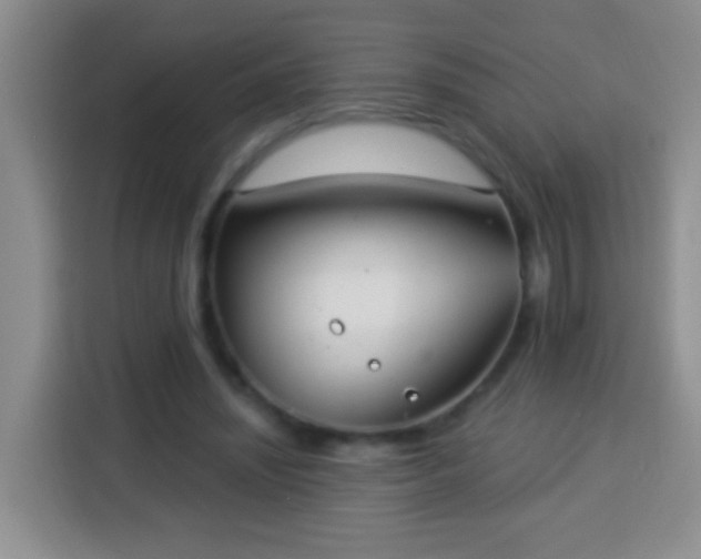 X0000113940444200910021305