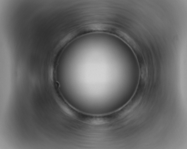 X0000113940445200910021305