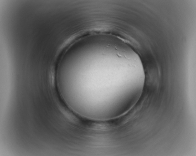 X0000113940446200910021306