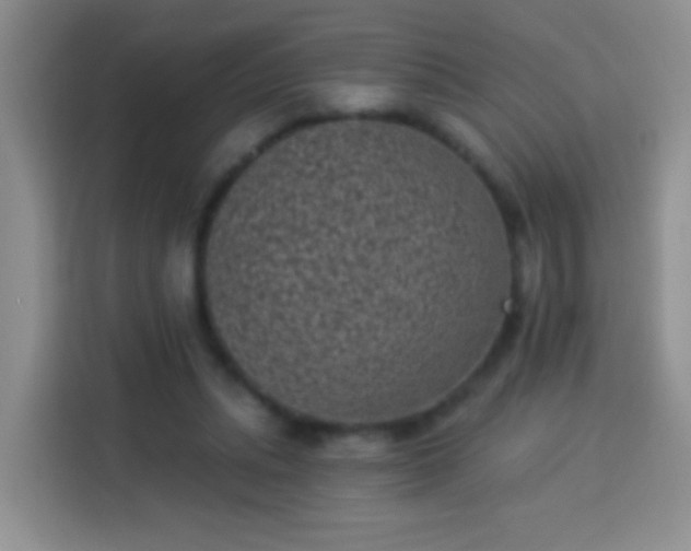 X0000113940447200910021306