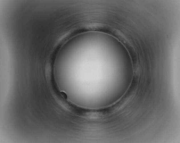 X0000113940448200910021306