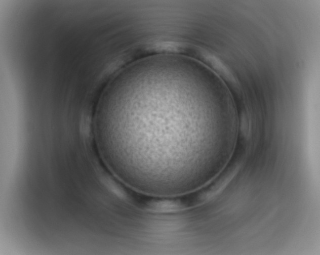 X0000113940449200910021306