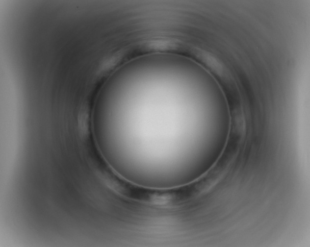 X0000113940450200910021306