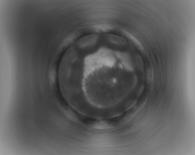 X0000113940451200910021306