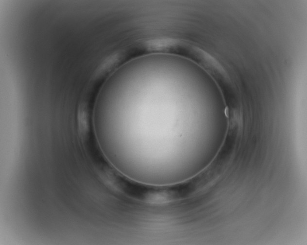 X0000113940452200910021306