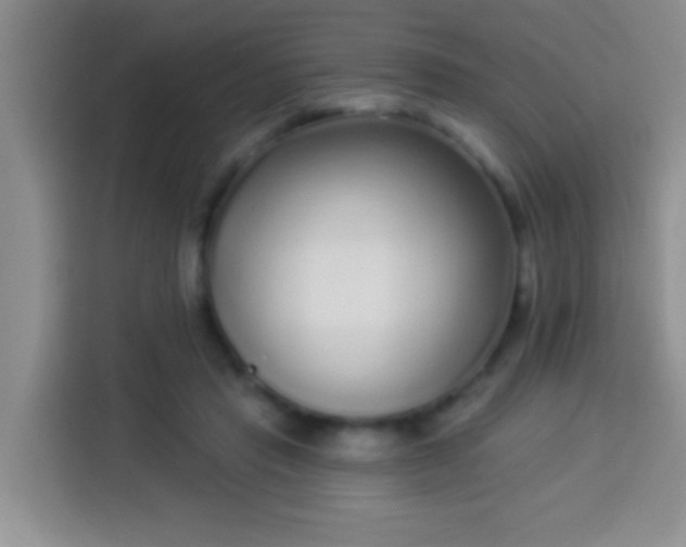 X0000113940453200910021306