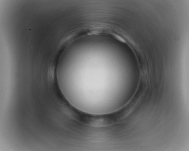 X0000113940454200910021306