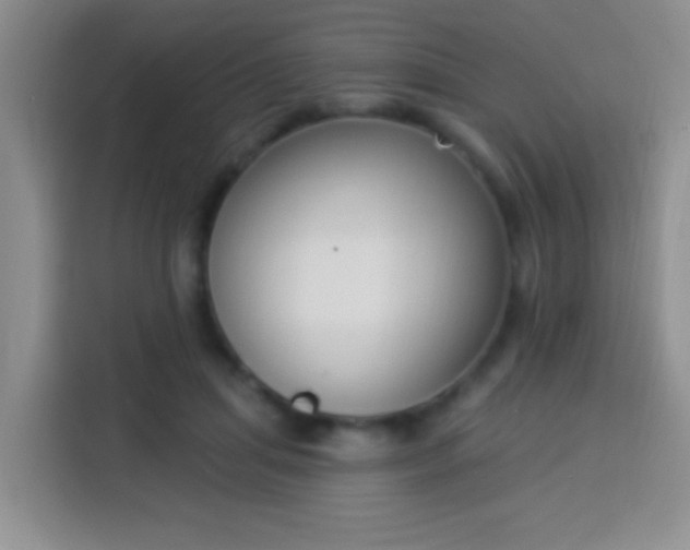 X0000113940455200910021306