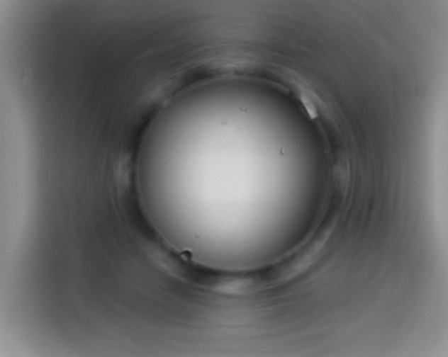 X0000113940458200910021306