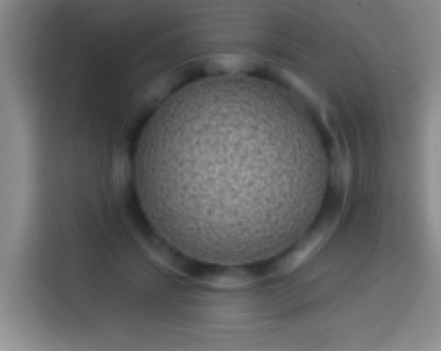 X0000113940459200910021306