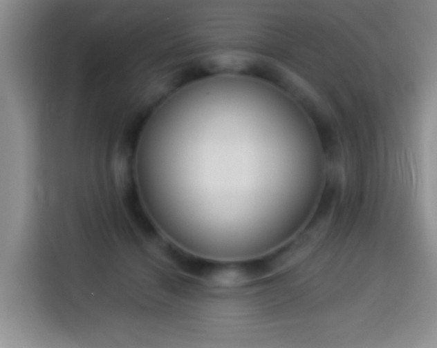 X0000113940460200910021306