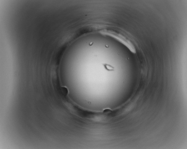 X0000113940462200910021306