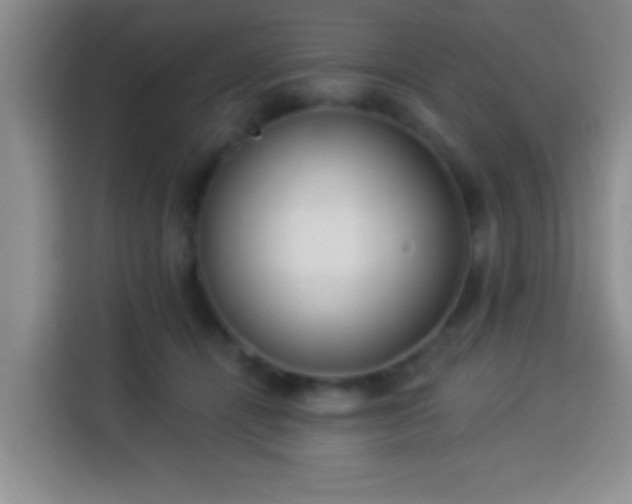 X0000113940464200910021306