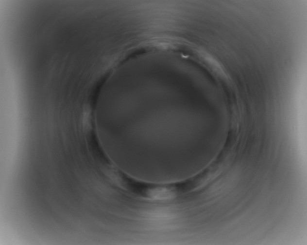 X0000113940465200910021306