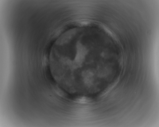 X0000113940467200910021306