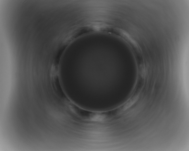 X0000113940471200910021306