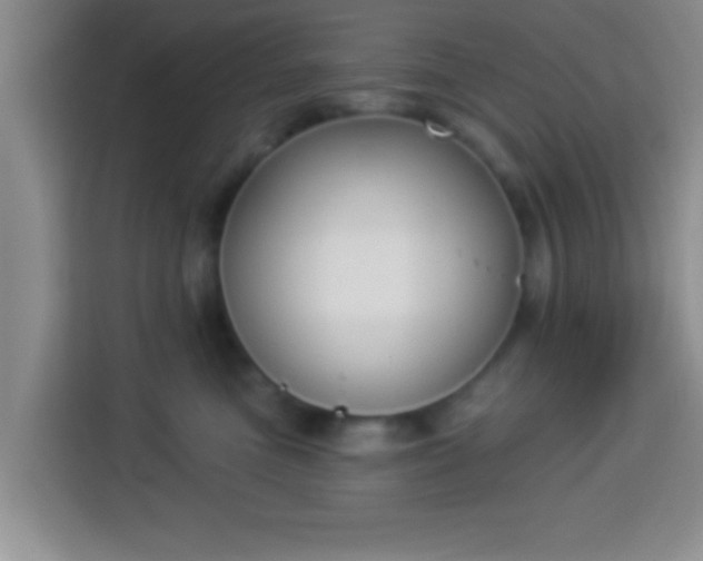 X0000113940473200910021306