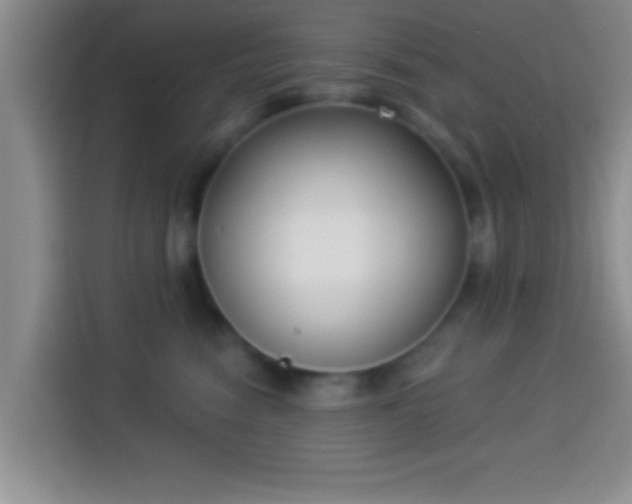 X0000113940474200910021306