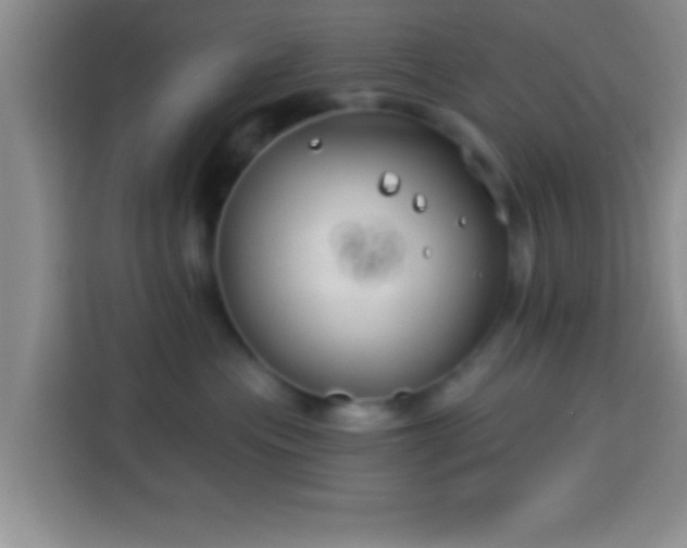 X0000113940477200910021306