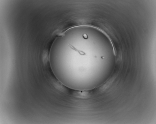 X0000113940478200910021306