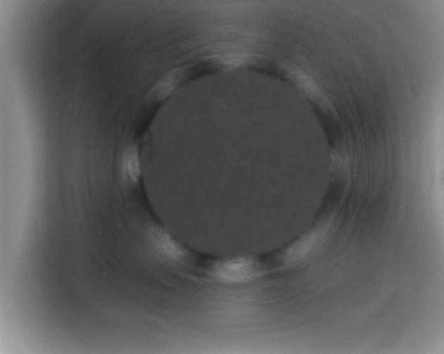 X0000113940479200910021306