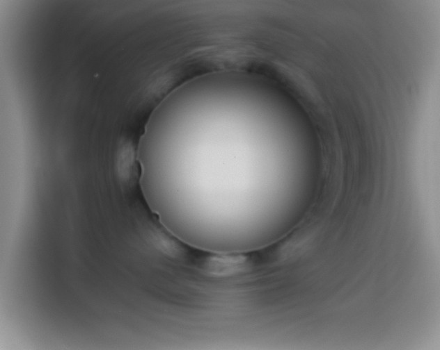 X0000113940480200910021306