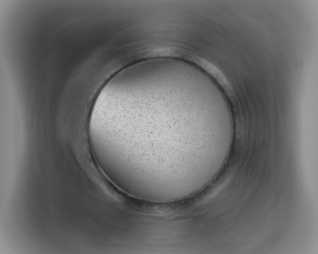 X0000113940481200910021305