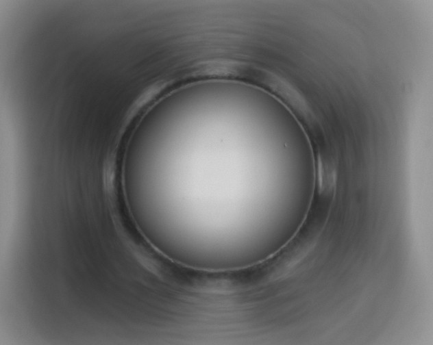 X0000113940483200910021305