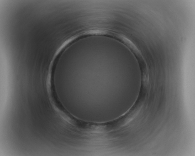 X0000113940484200910021305