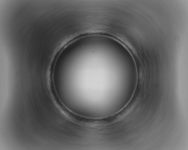 X0000113940485200910021305