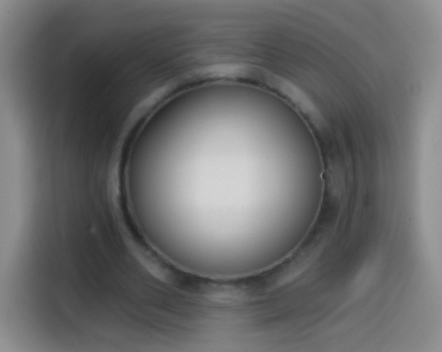 X0000113940486200910021305