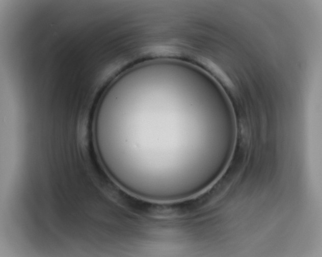 X0000113940487200910021305