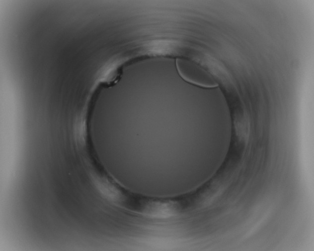 X0000113940488200910021305