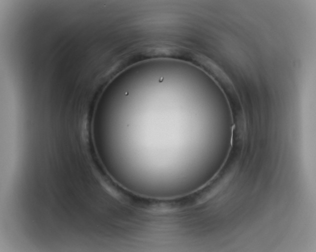 X0000113940489200910021305