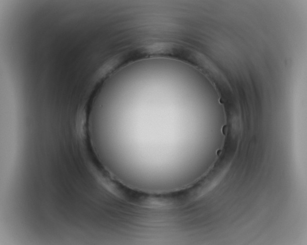 X0000113940490200910021305