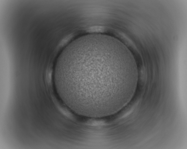 X0000113940491200910021305