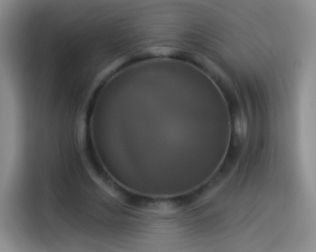 X0000113940492200910021305