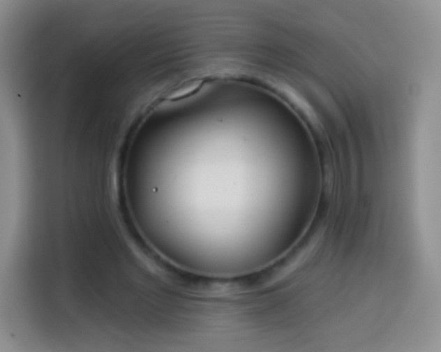 X0000113940493200910021305