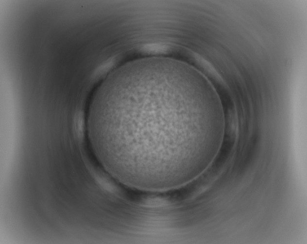 X0000113940494200910021305