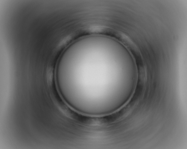 X0000113940495200910021305