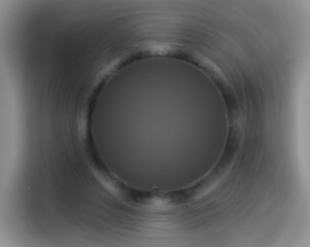 X0000113940496200910021305