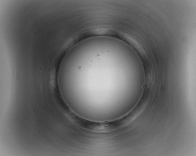 X0000113940497200910021305