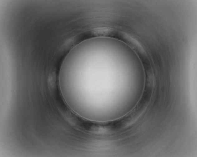 X0000113940498200910021305