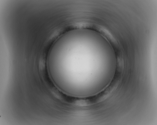 X0000113940499200910021305