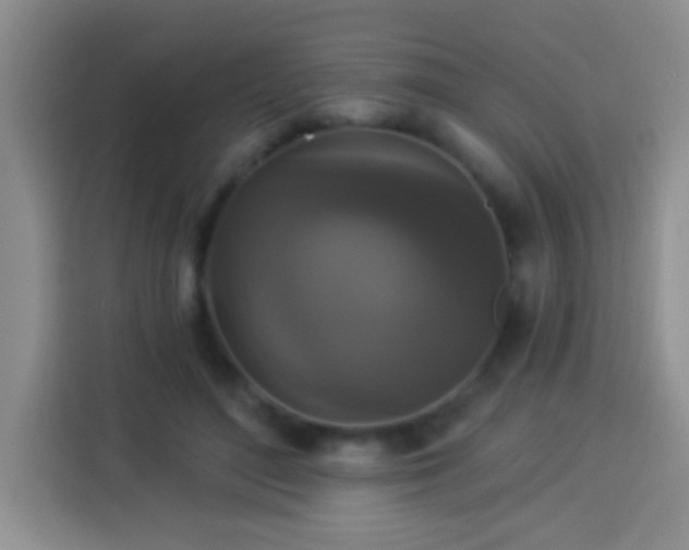 X0000113940500200910021305