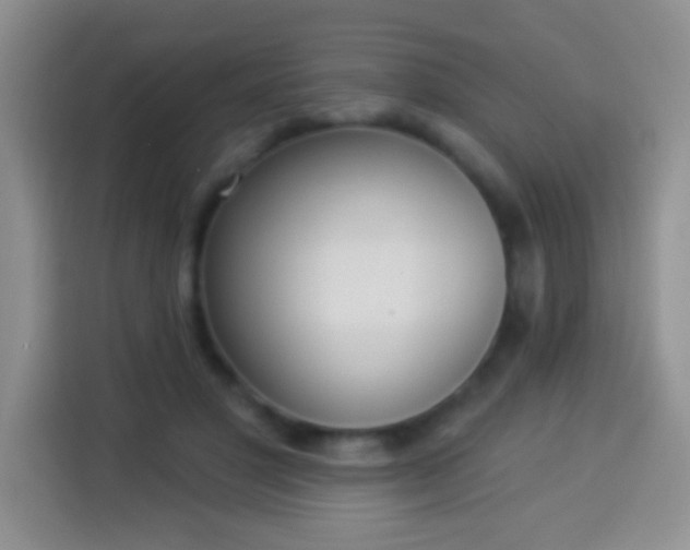 X0000113940501200910021305